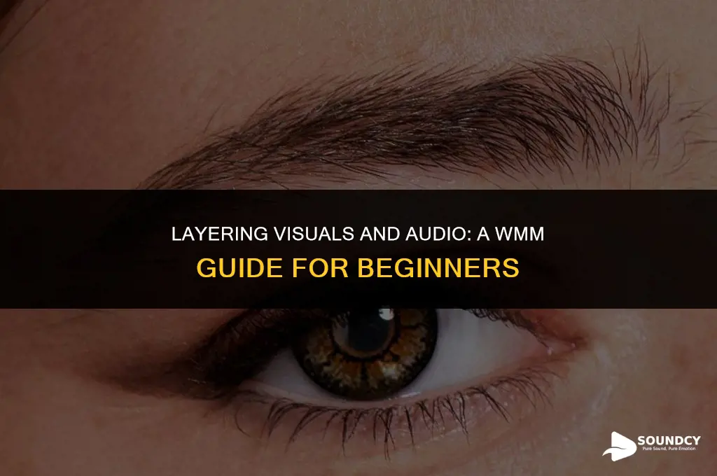 how to put an image over sound in wmm