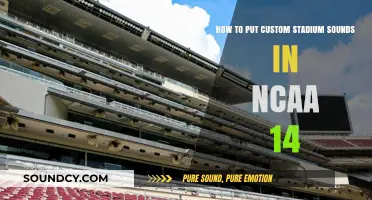 Elevate Your NCAA 14 Experience: Custom Stadium Sounds Guide