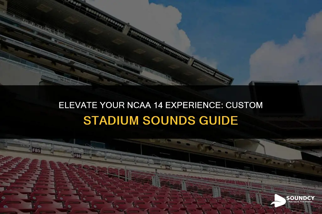 how to put custom stadium sounds in ncaa 14