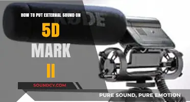 Mastering Audio: Adding External Sound to Your 5D Mark II