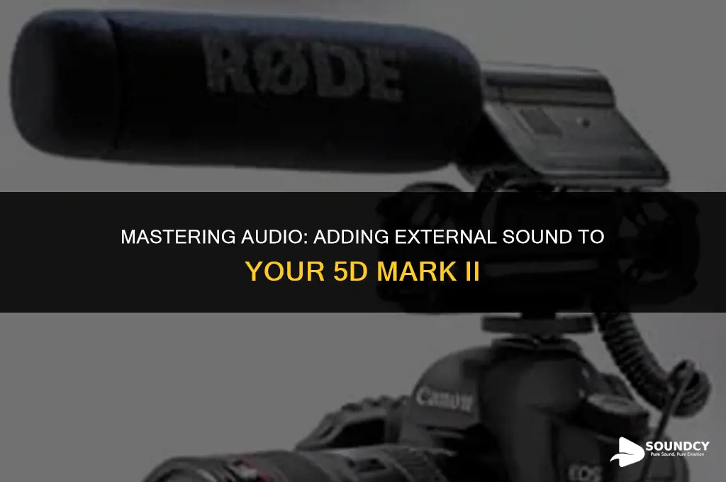 how to put external sound on 5d mark ii