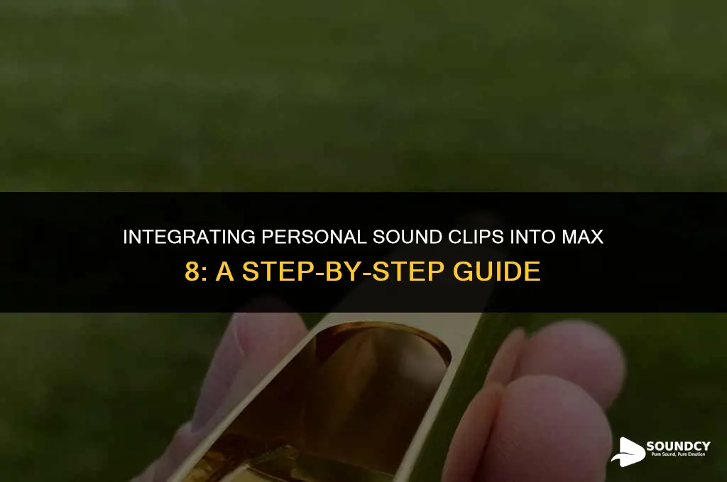 how to put own sound clips into max 8