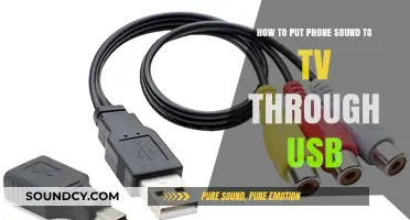 Effortlessly Connect Your Phone's Audio to TV via USB: A Step-by-Step Guide