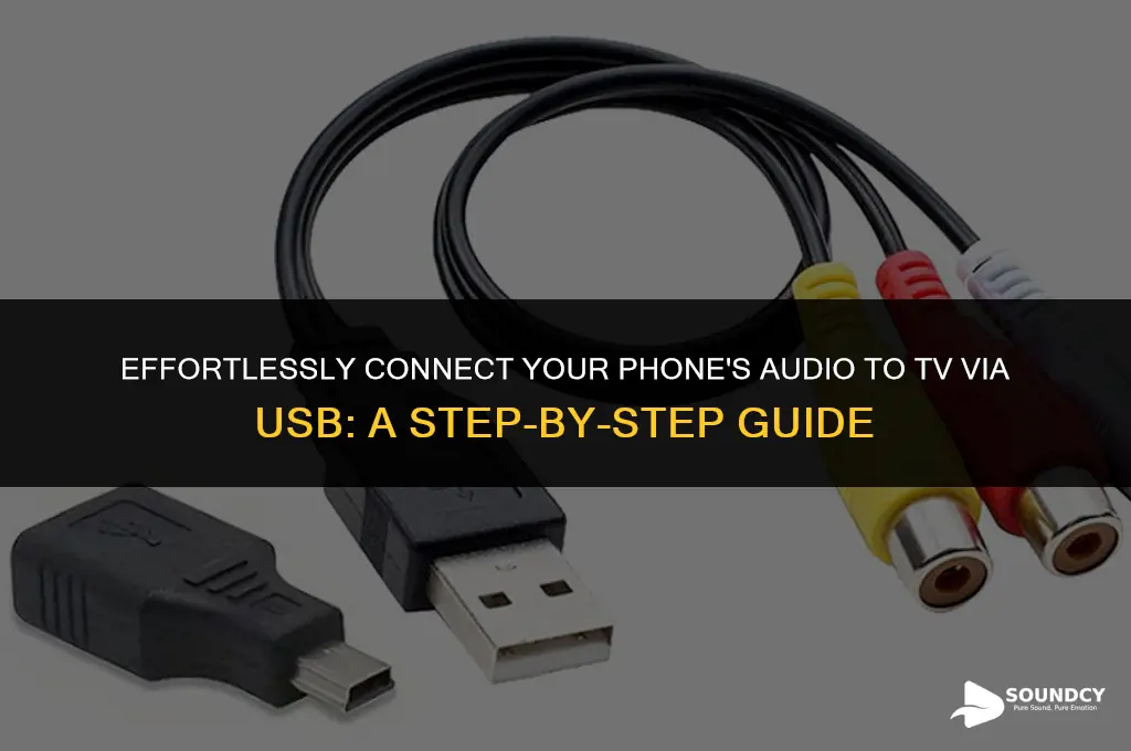 how to put phone sound to tv through usb