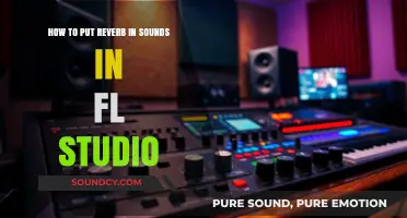 Mastering Reverb: A Beginner's Guide to FL Studio's Reverb Effects