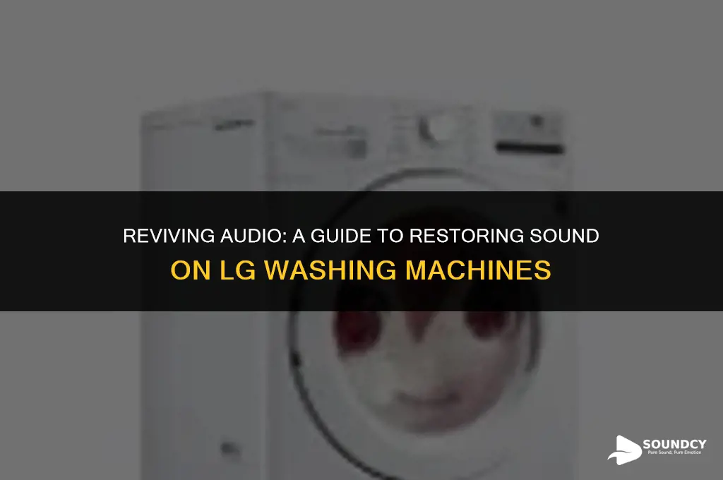 how to put sound back on lg washing machine