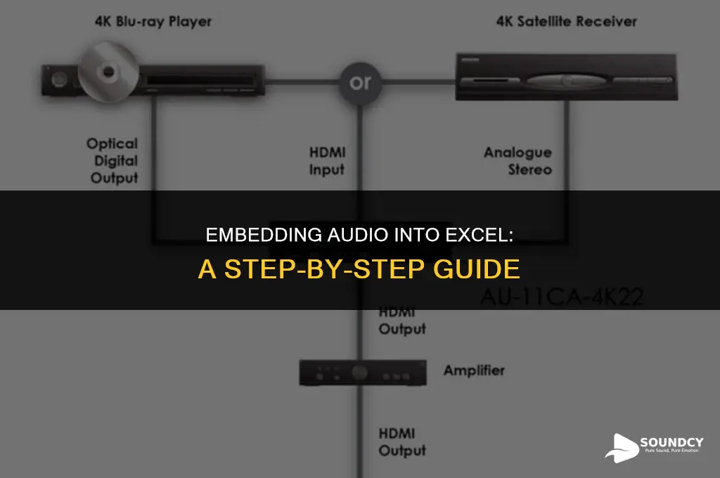 how to put sound in a word into excel