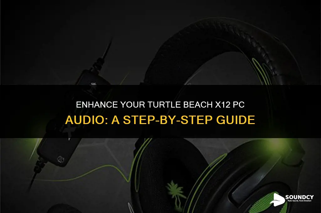 how to put sound on turtle beach x12 pc