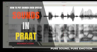Mastering Sound Layering: A Guide to Mixing Audio in Praat