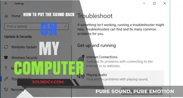 Troubleshooting Guide: Restoring Sound on Your Computer