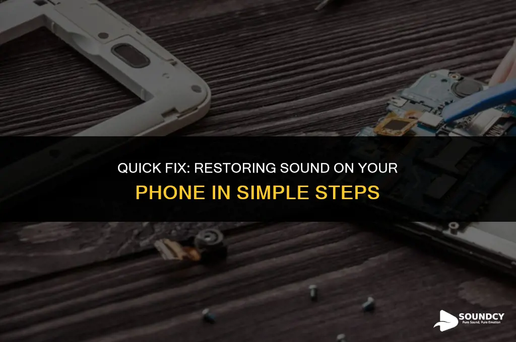 how to put the sound back on my phone