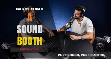 Optimizing Audio: Dual Mic Setup for Sound Booths