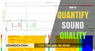 Measuring Sound Quality: Techniques to Quantify Audio Excellence