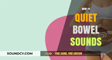 Effective Strategies to Quiet Bowel Sounds and Ease Digestive Discomfort