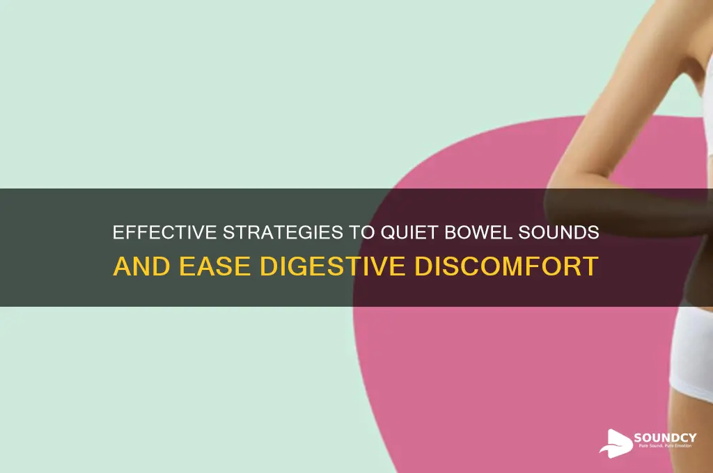 how to quiet bowel sounds