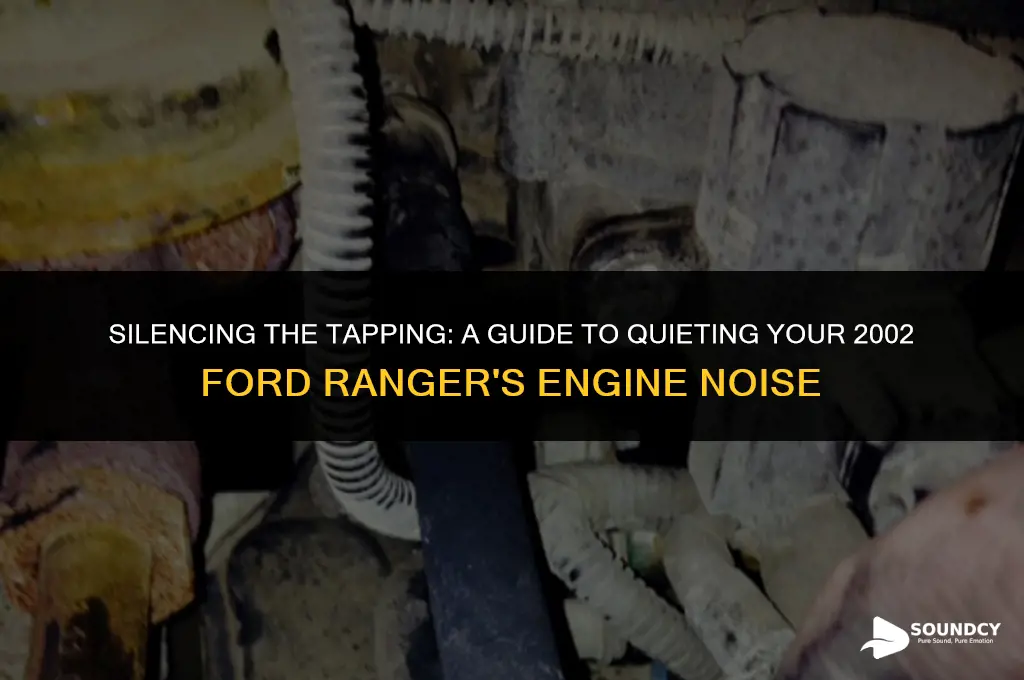 how to quiet tappet sound for 2002 ford ranger