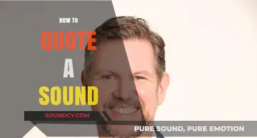 Mastering Sound Quotation: Techniques to Capture and Cite Audio Accurately