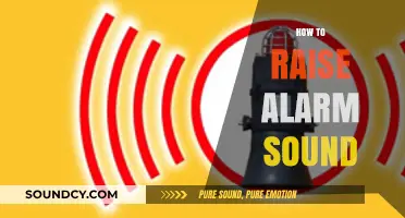 Effective Ways to Raise Alarm Sounds for Safety and Awareness