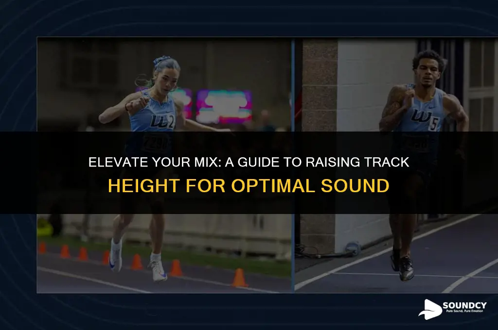 how to raise the track height for one sound