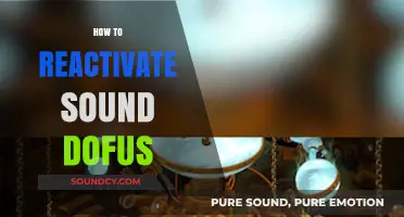 Reactivating Sound in Dofus: A Quick and Easy Guide