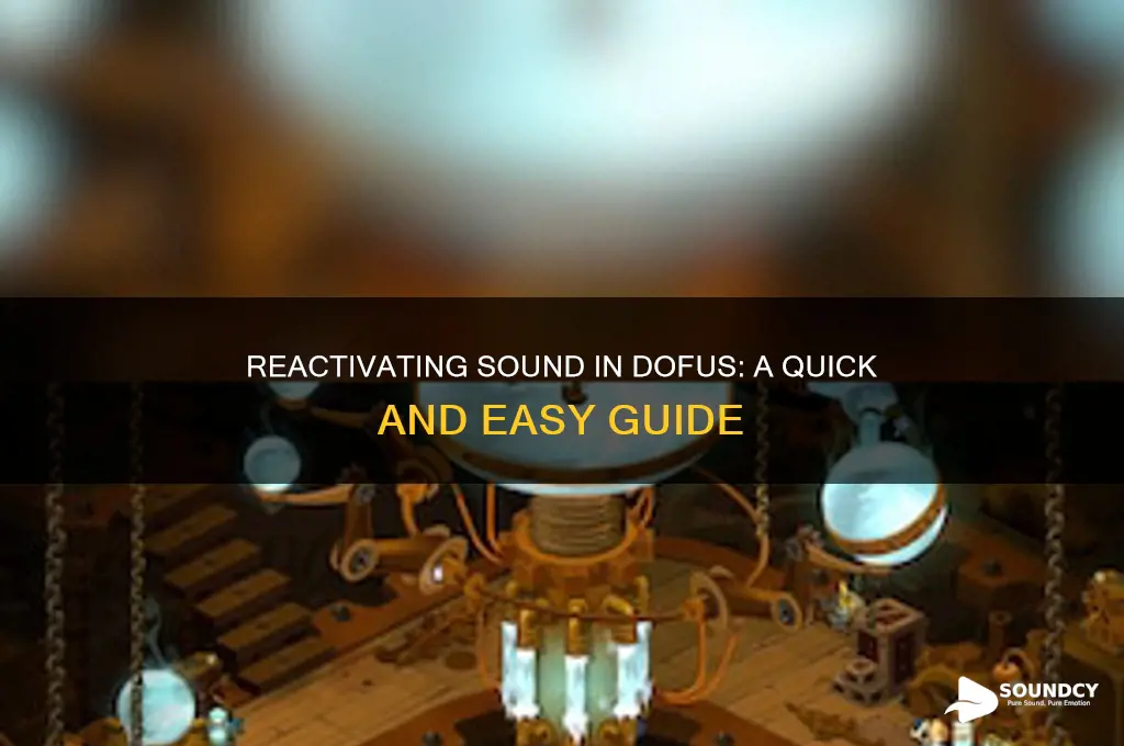 how to reactivate sound dofus