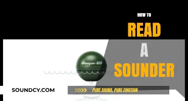 Mastering Your Sounder: A Beginner's Guide to Reading Sonar Displays