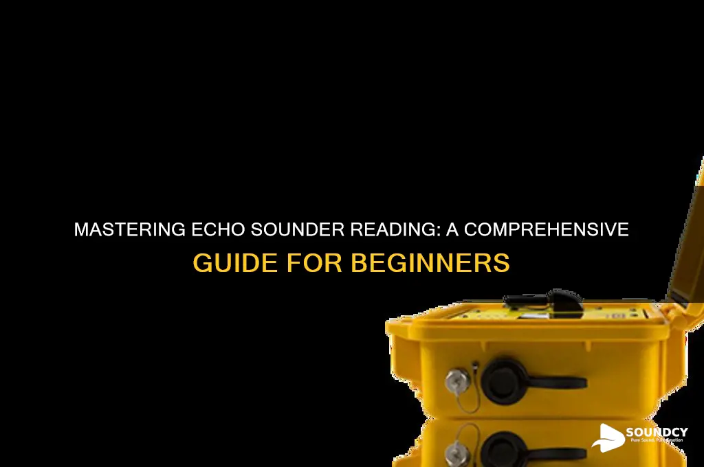 how to read echo sounder