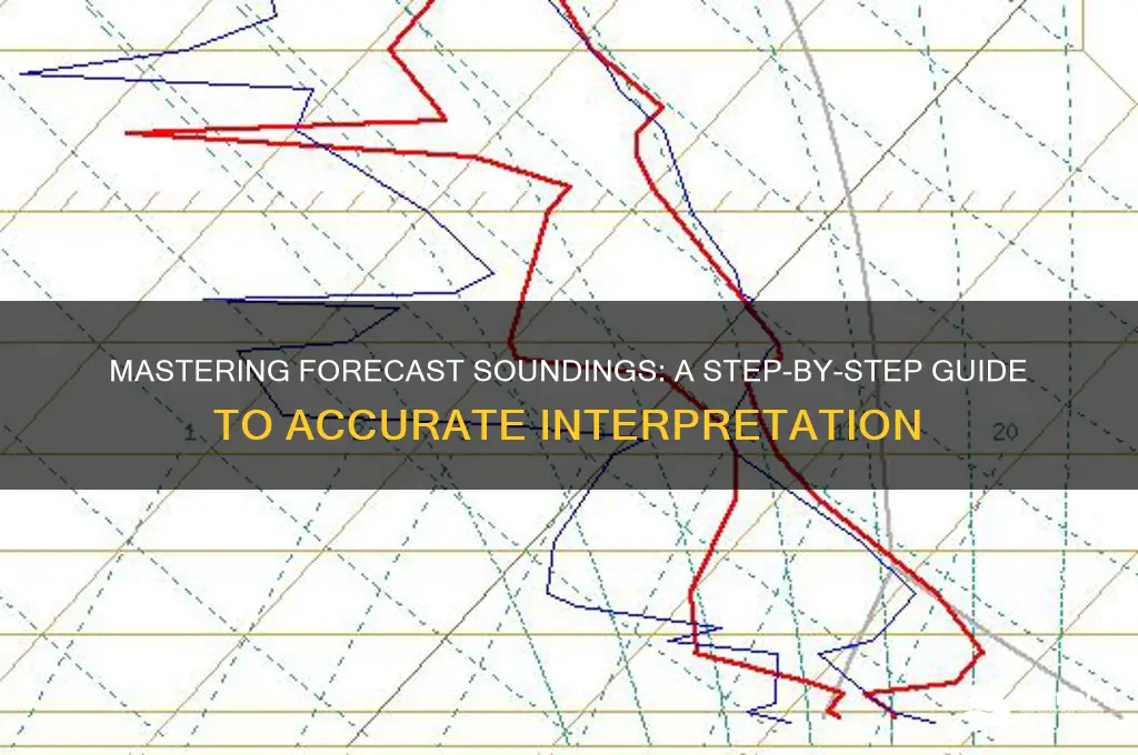 how-to read forcast sounding