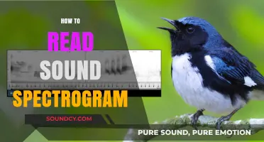 Mastering Sound Spectrograms: A Beginner's Guide to Visualizing Audio