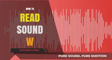 Mastering the Art of Reading Sound Waves: A Beginner's Guide