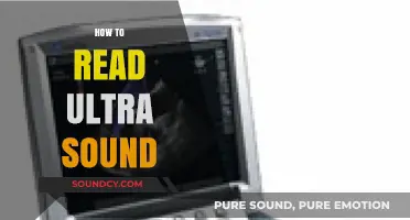 Mastering Ultrasound Reading: A Step-by-Step Guide for Beginners