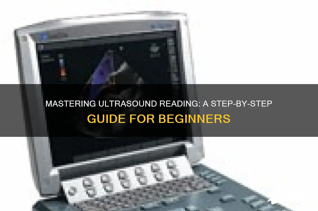 how to read ultra sound