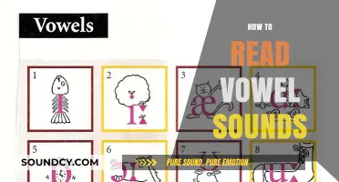 Mastering Vowel Sounds: A Step-by-Step Guide to Accurate Pronunciation