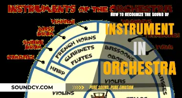 Harmonious Listening: Identifying Instruments in an Orchestra