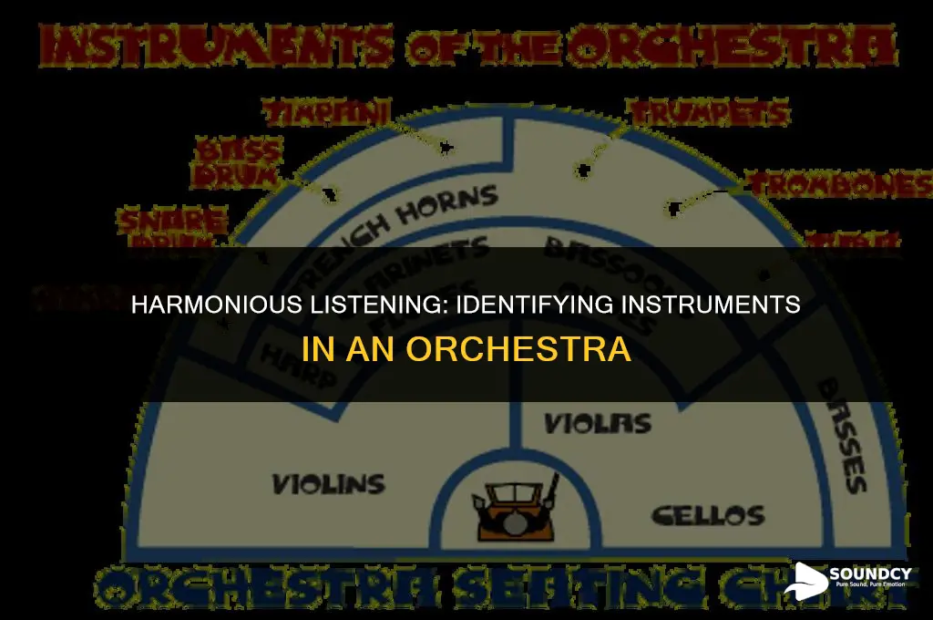 how to recognize the sound of instrument in orchestra