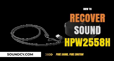 Fixing Sound Issues: A Guide to Recovering HPW2558HC Audio