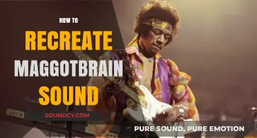 Mastering the Maggot Brain Tone: Recreate Eddie Hazel's Iconic Guitar Sound