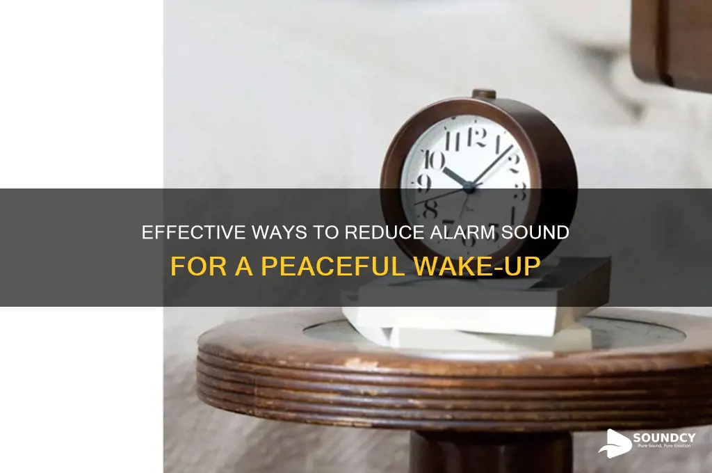 how to reduce alarm sound
