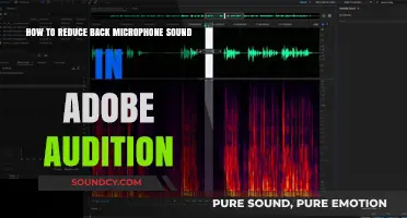 Effective Techniques to Minimize Back Mic Noise in Adobe Audition