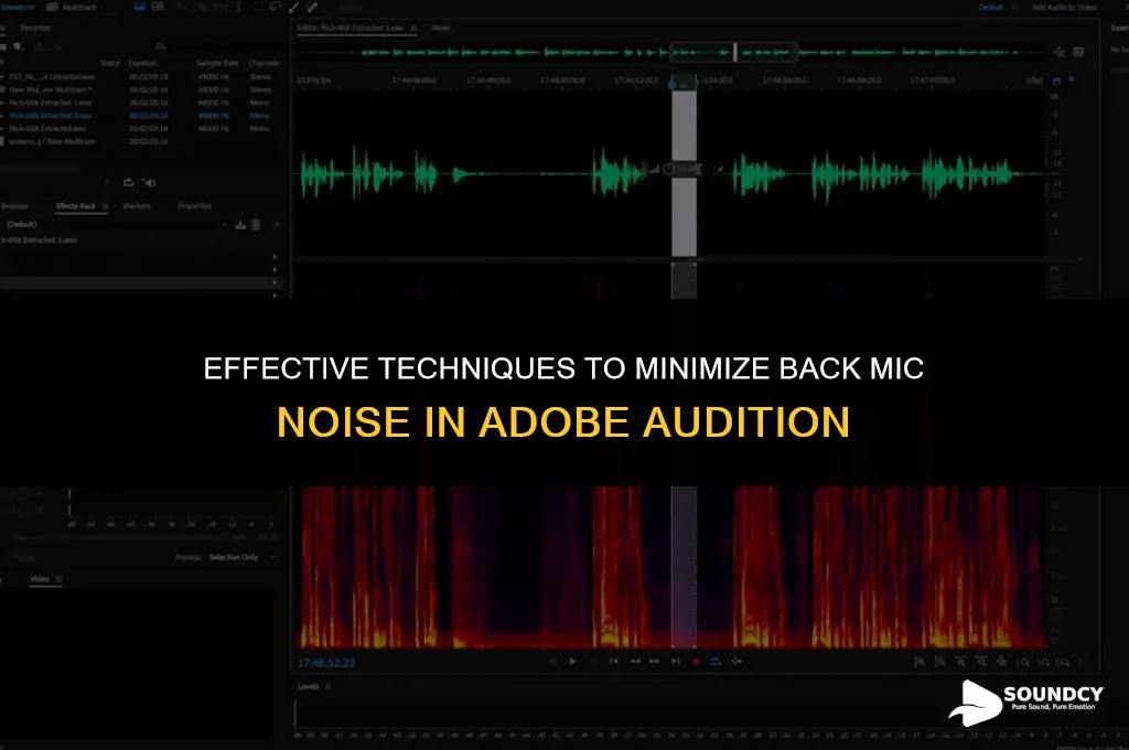how to reduce back microphone sound in adobe audition