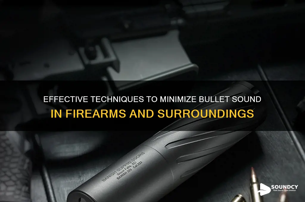 how to reduce bullet sound