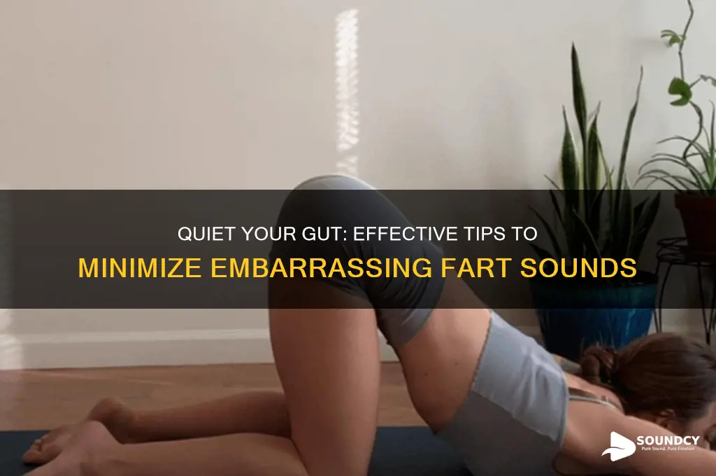 how to reduce fart sound