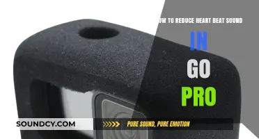 Minimize Heartbeat Noise in GoPro Footage: A Comprehensive Guide