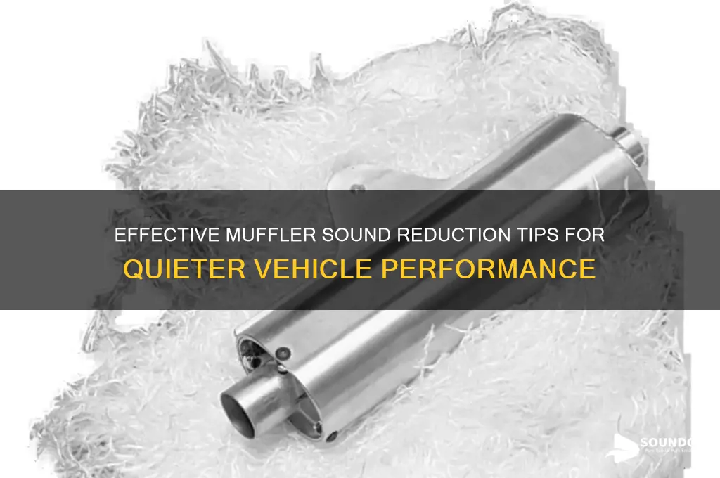 how to reduce muffler sound