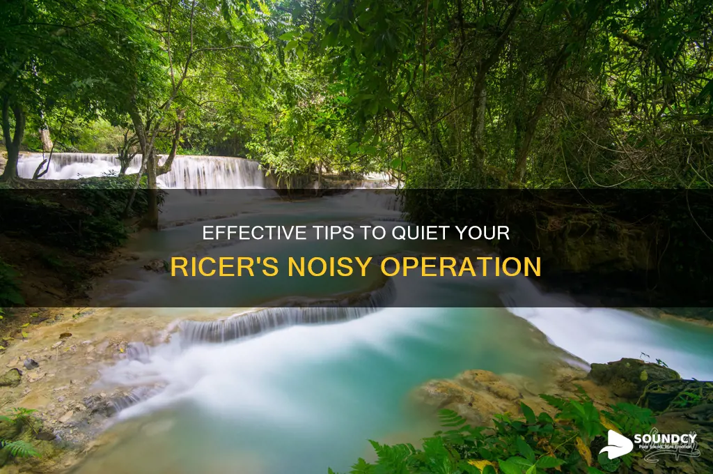 how to reduce ricer sound