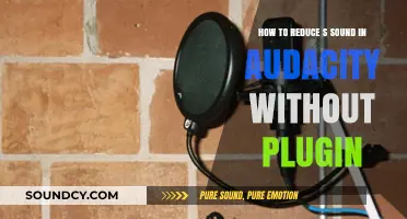 Mastering Audacity: Effective Techniques to Reduce Sibilant Sounds Without Plugins