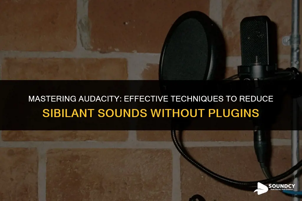 how to reduce s sound in audacity without plugin