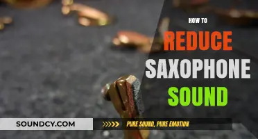 Effective Techniques to Quiet Your Saxophone: A Comprehensive Guide