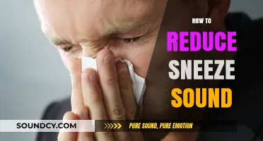 Quiet Your Sneezes: Simple Techniques to Reduce Sneeze Sounds
