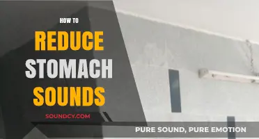 Quiet Your Tummy: Effective Tips to Reduce Stomach Noises Fast